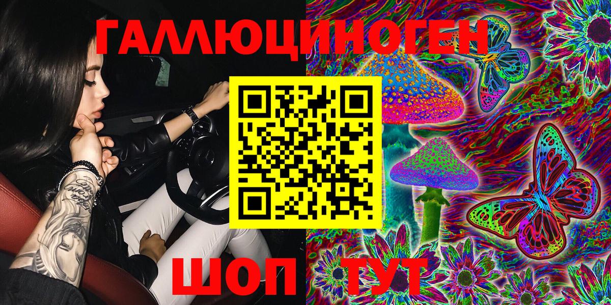 Псилоцибиновые грибы Psilocybine cubensis  Вход с VPN  Новосибирск 