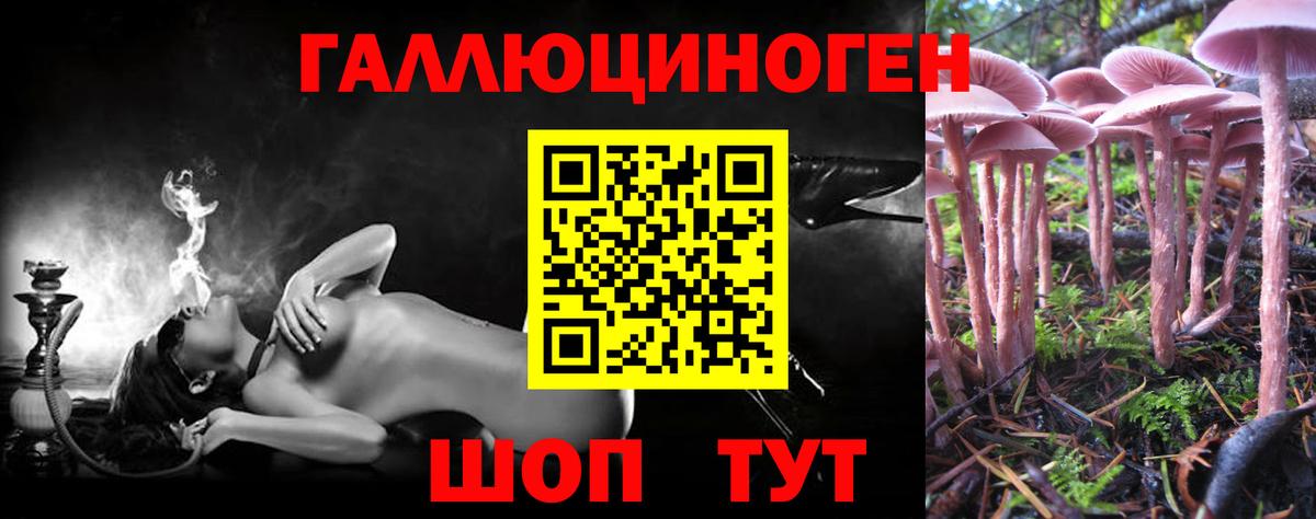 Псилоцибиновые грибы Magic Shrooms Новосибирск